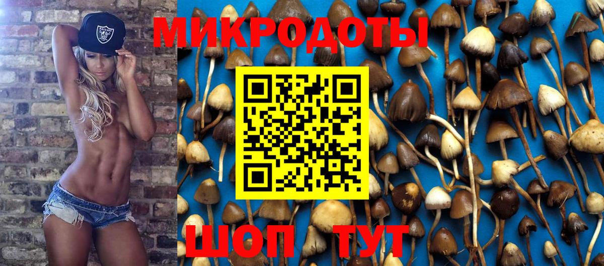 Псилоцибиновые грибы GOLDEN TEACHER Елизово